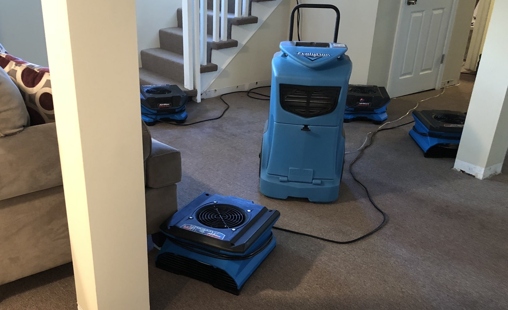 carpet cleaner discount Lake in the Hill IL